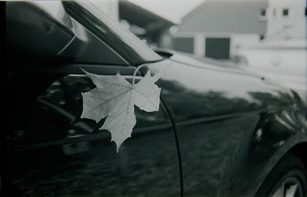 AGFAPHOTO APX 400 @320 ISO in FX-39II