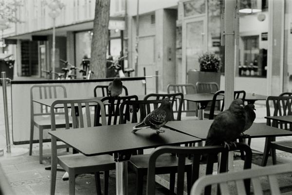 ILFORD HP5 @400 ISO in FX-39II