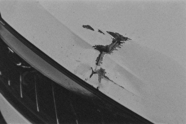 Fomapan 400 @320 ISO in FX-39II