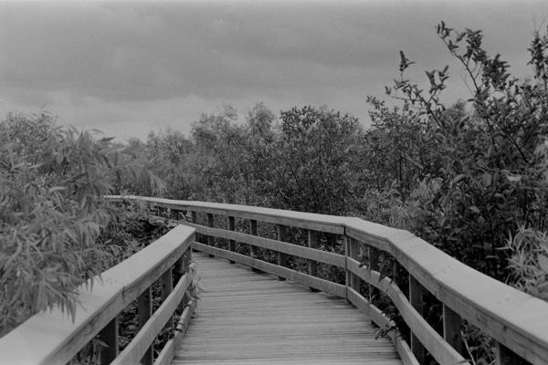 Florida, irgendwann in den 90ern – der Weg ins Unbekannte - Ilford FP4+