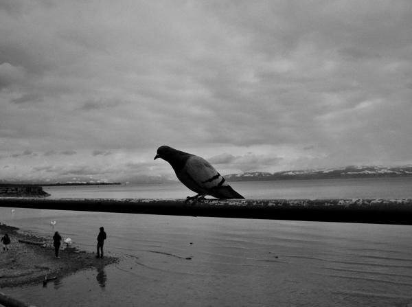 91/365 - Platzhalter