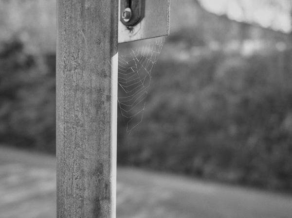 92/365 - Dazwischen