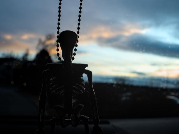 42/365 - Blick nach Vorn