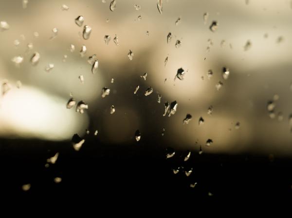 47/365 - Trübe Aussicht