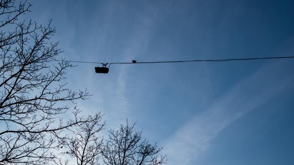 40/365 - Durchhänger