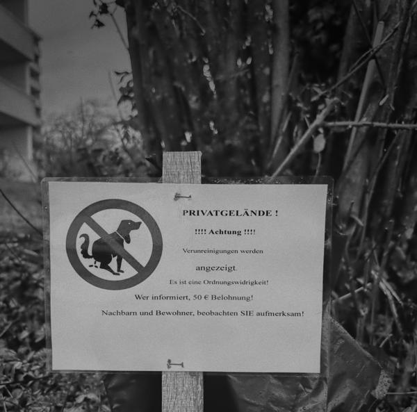 55/365 - Leave No Trace