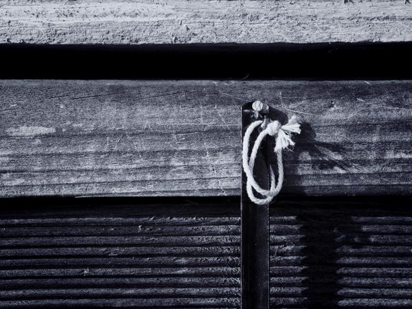 23/365 - Eingetrieben