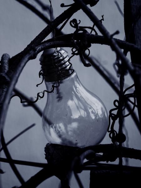 26/365 - Desilluminiert