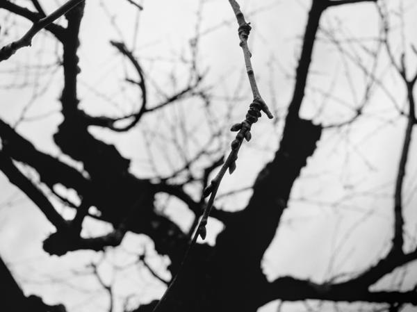 70/365 - Vor dem Grün