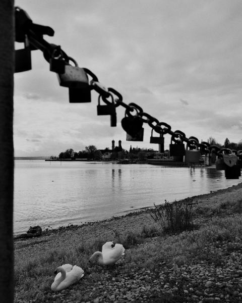 90/365 - Gebunden