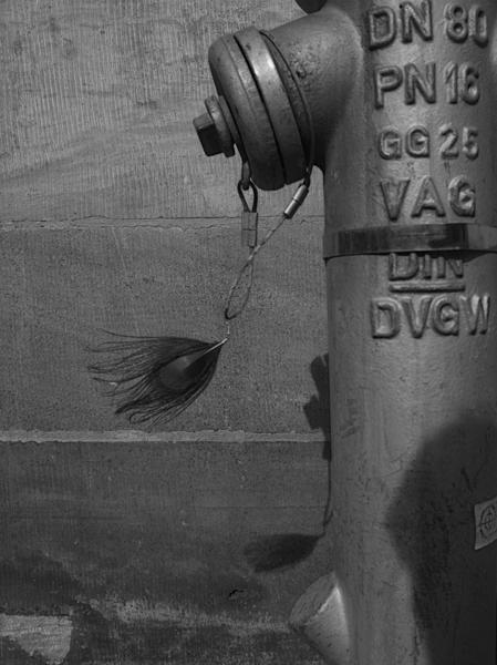 68/365 - Federleicht