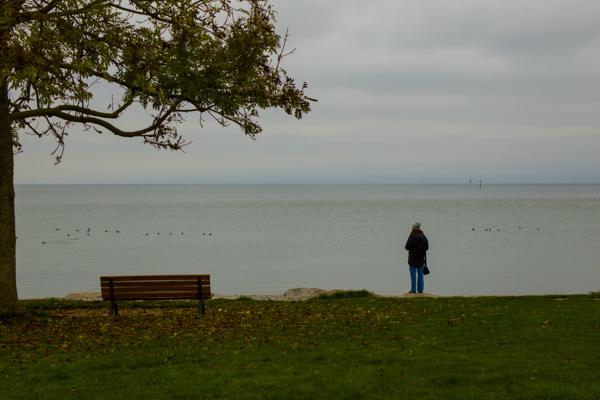 CITY - TOUR (FOTOWALK)