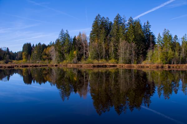 Rund um den Lindenberger Waldsee